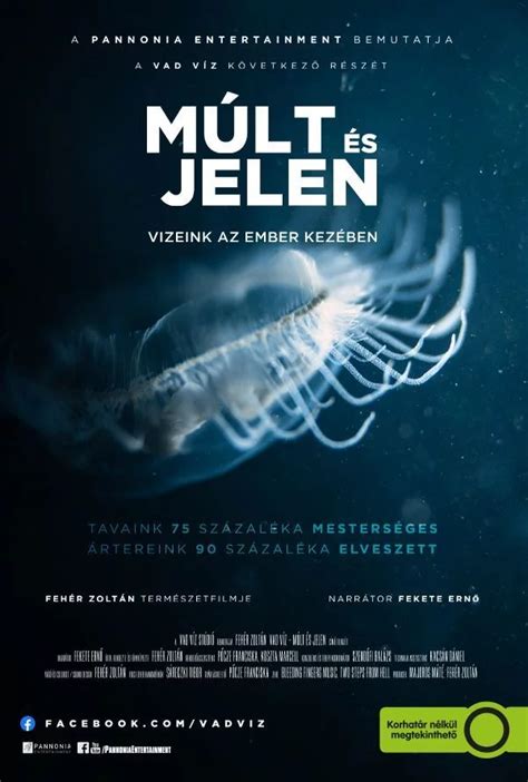 A múlt és jelen összefonódása