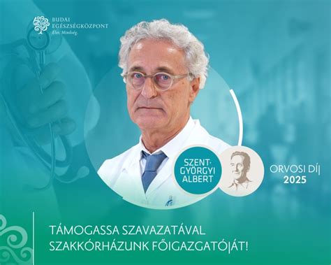 Dr. Babay Dezső portréja