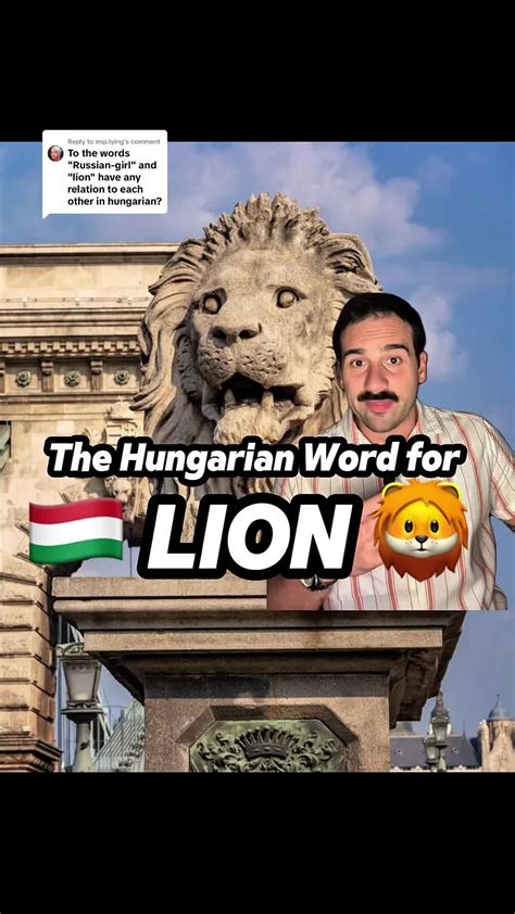 Gourmet szó etimológiája