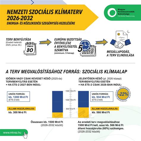 Szociális ellátási formák infografika