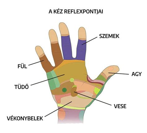 Tandemrúd rögzítési pontok