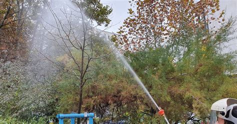 Sikertelen permetezés tünetei a növényen