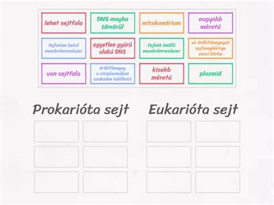 Alapmártások összehasonlítása