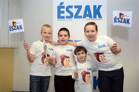 Illusztráció különböző korú gyermekekről, akik játékos feladatokat végeznek