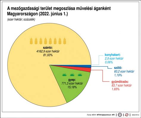 Diagram: Virsli alkotóelemeinek százalékos aránya