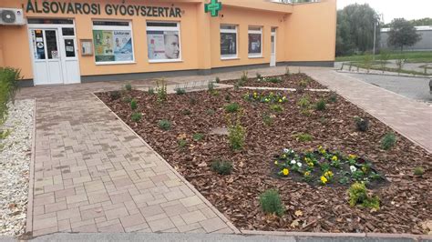 Halfilé szárítása papírtörlővel