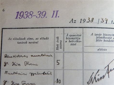 Régi dokumentumok a káposztavásárról