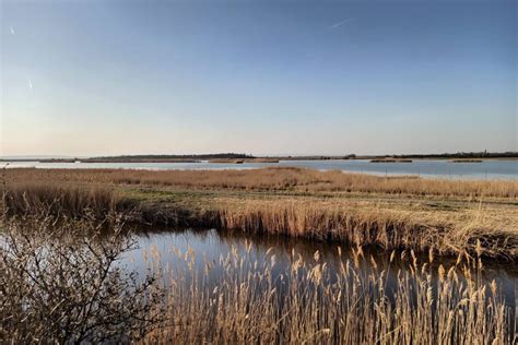 Fotó a Fertő-Hanság Nemzeti Park szikes pusztáiról.