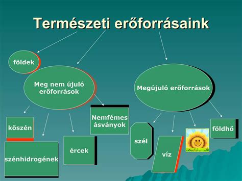 Zsiradékok típusai és felhasználása
