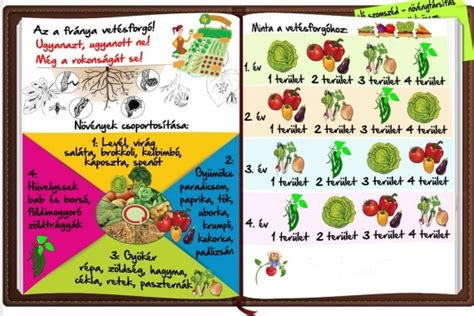 Növényvédelem tippek infografika