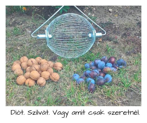 Szedőkosár diószedéshez
