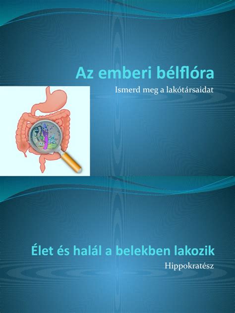 Az emberi bélflóra sematikus ábrája