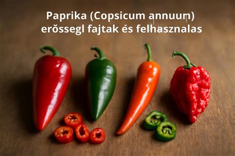 A paprika eredete, elterjedése és útvonala Európába