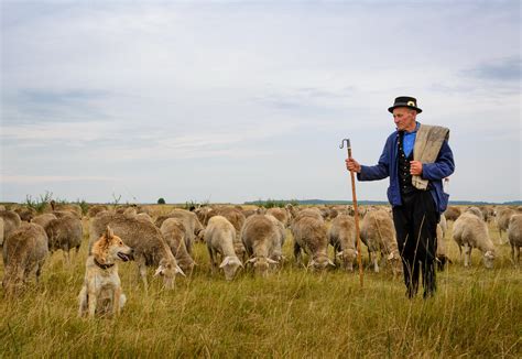 Pásztorok bográcsban főznek a Hortobágyon