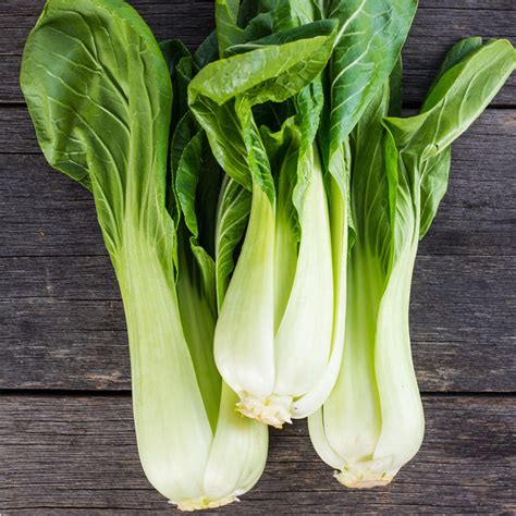 Pak choi palánták cserépben