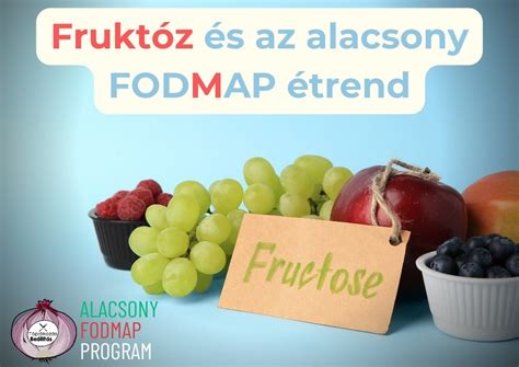 A fruktóz felszívódási folyamatát és a zavar okait illusztráló diagram