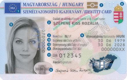 Ló azonosító chippel