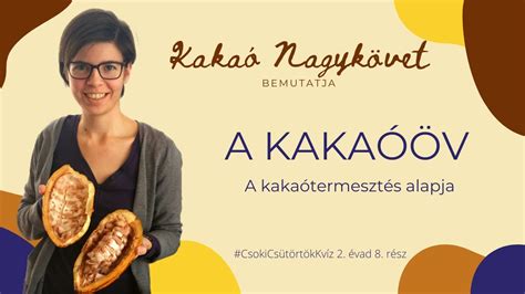 A kakaóöv térképe, bemutatva a főbb termelőrégiókat