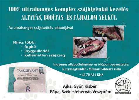 kutya súlykontroll előtt és után