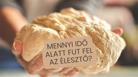 Az élesztő oltás és az élesztőtápanyagok szerepe