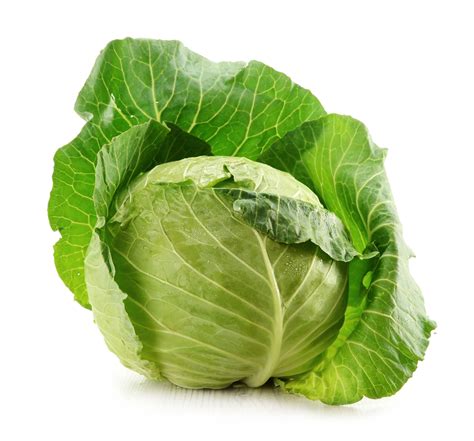 friss fejes káposzta