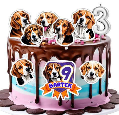 Beagle kutya születésnapi tortával