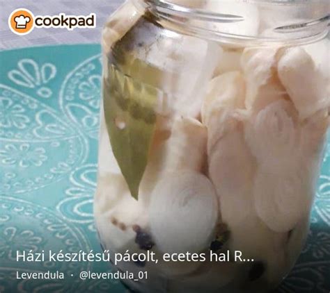 házi készítésű alaplé hozzávalói