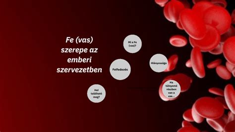 A vas szerepe a vérszállításban infografika