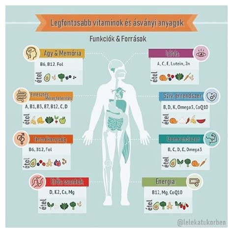 A spenótban található vitaminok és ásványi anyagok