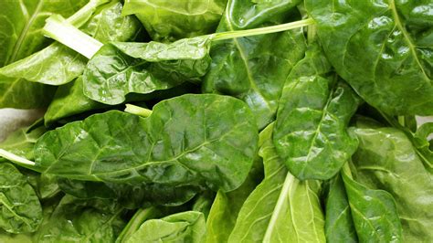 Különböző spenótfajták