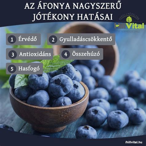 Áfonya egészségügyi hatásai infografika