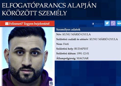 Érlelés alatt álló csokoládé