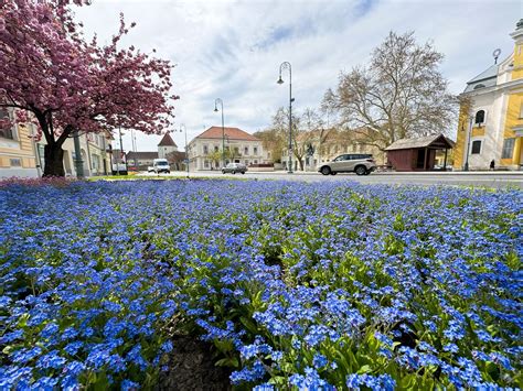 Bonyhád térképe