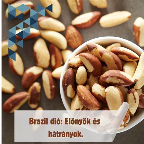 egy brazil dió (paradió)