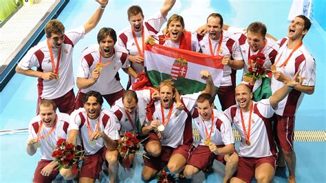 Válogatott csirkeaprólékok, mint szárnyak és nyakak