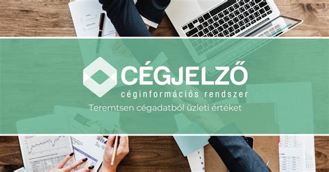 Céginformációs rendszer ábrája