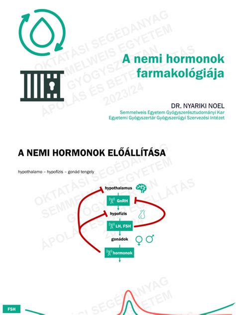 Nemi hormonok hatása a zsírfelhalmozásra diagram