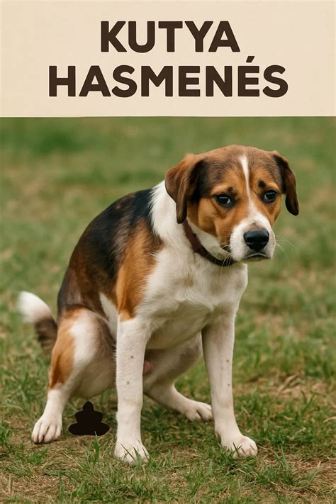 Hasmenés illusztráció