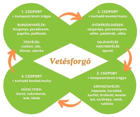 Vetésforgó tervezése a konyhakertben