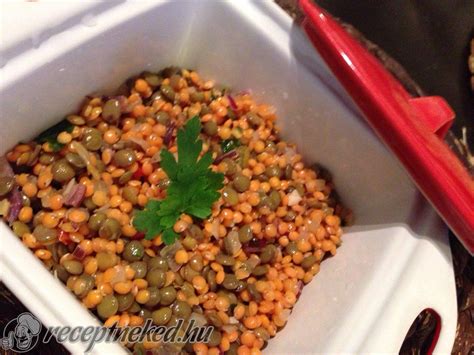 Friss hozzávalókból készült, színes lencsesaláta