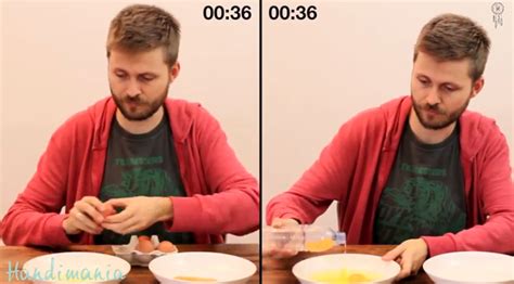 tojásszétválasztás