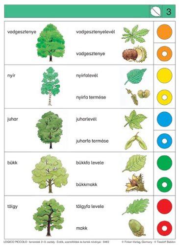 Diófák levelei és termései