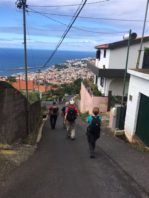 Madeira panoráma
