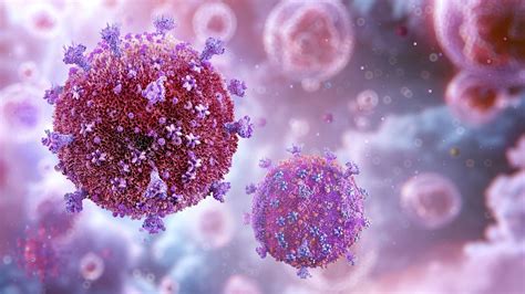 HIV vírus elektronmikroszkópos képe