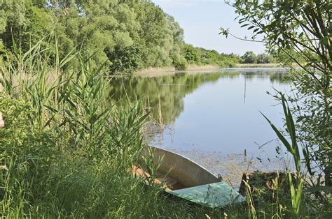 Töreki tórendszer
