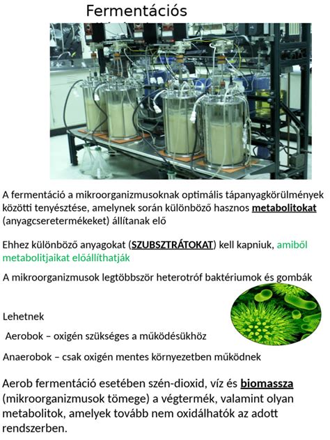 A fermentáció kémiai folyamata, mikroorganizmusok munkája