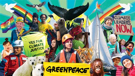 Greenpeace aktivisták felmérést végeznek