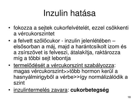 A hasnyálmirigy és az inzulin termelés ábrája