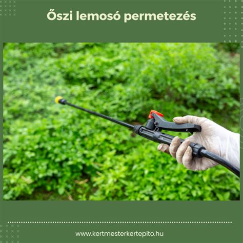 Permetezés hatékonyságának ellenőrzése