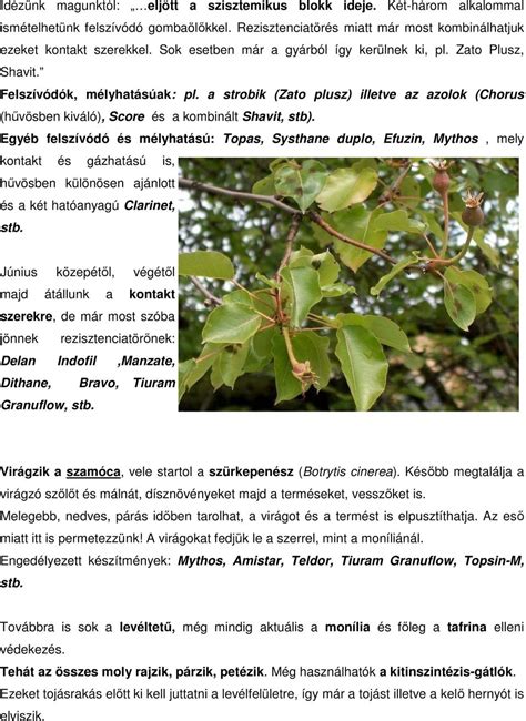 Növényvédelmi tanácsok